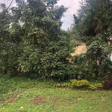 Club Hotel Shillong